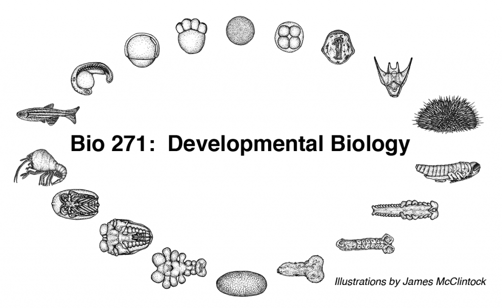 Bio271LOGO